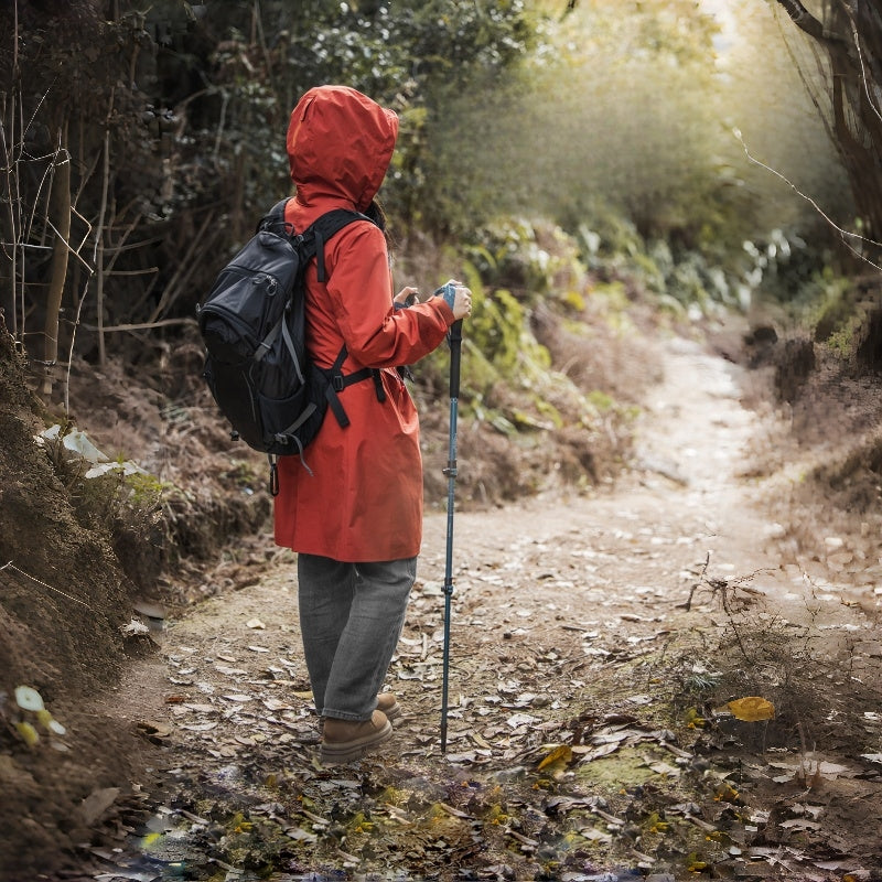Three-Section Aluminum Locking Trekking Pole
