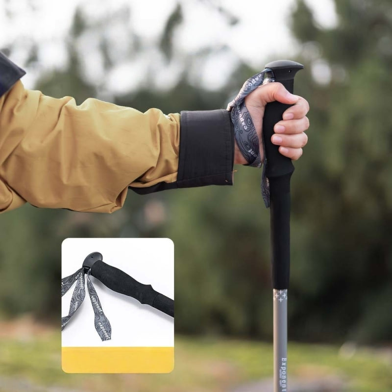 Professional Aluminum Locking Trekking Pole