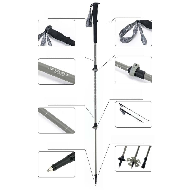 Professional Aluminum Locking Trekking Pole